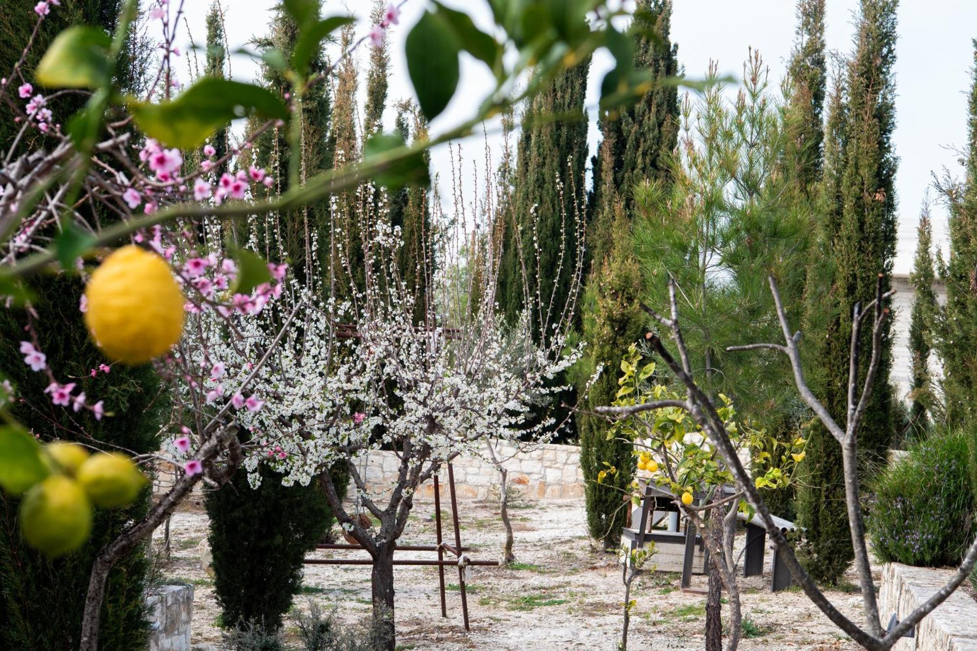 Ayia Marina Villa Kathikas Ngoại thất bức ảnh
